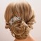 Aimimier Double Flower Crystal French Hair Comb Shinny Rhinestone Gem Side Combs Long Teeth Hair Clips Bridal Hair Accessories for Women Girls(Blue)