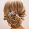 Aimimier Bridal Wedding Flower Leaf Crystal Hair Comb Dainty Rhinestone Gem Side Combs Long Teeth Hair Pins Floral Hair Accessories for Women Girls(Blue)