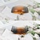 6 Pieces Plastic Side Hair Twist Comb French Twist Comb Hair Clips with Teeth, lyfLux Curved Tortoise Shell Decorative Hair Combs (23 Teeth)