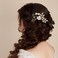inSowni 36 Pack Gold Flower Leaf Bridal Wedding Hair Side Combs+U-shaped Flower Hair Pins+Spiral Rhinestone Clips Barrettes Hair Pieces Headpieces Accessories for Brides Bridesmaids Women Girls