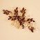 Kercisbeauty Wine Crystal Gold Hair Side Piece Pearl Hair Comb for Wedding Women Girls Bridal Shower Hair Accessories (Wine)