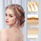 2 Pcs Thickened Hair Comb with 23 Teeth, Women Hair Comb Accessories, French Hair Side Combs Twist Decorative Comb Hair Clips Bridal Wedding Veil Teeth Hair Combs for Girls Women (Black + Brown)