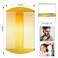 Boao 2 Pieces Metal Hair Combs for Women Men Beard Mustache Comb Lice Wallet Fine Cutting Teasing Barber Stainless Steel Hair Styling Dandruff Remove Dreadlock(Gold)