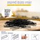 Swpeet 380Pcs 2 Styles 1.9Inch 2.4Inch 2.7Inch Black Hair Pins Bobby Pins with Rubber Bands Kit, Including 120Pcs Bobby Pins and 160Pcs U Hair Pins Hair Clips with Soft Elastic Bands