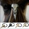 5PCS Women Hair Tie Alloy Crow Skull Elastic Ponytail Holders, Mixed Colors