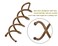 Mini Skater 1.96 Inch Brown Spiral Hair Pins Spin Pins Non-Scratch Round Tips Twist Screw Hair Pins for Women Buns DIY Stylish Updos, Premium 4Pack