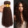Chocolate Brown Curly Wave Bundles Color #4 Dark Brown Kinky Curly Human Hair Bundles 24 24 24 Inch Double Weft Brazilian Hair Extensions Wet and Wavy Bundles Silky Soft