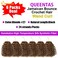 QUEENTAS 6Packs Jamaican Crochet Hair Extensions 8 inch Ringlet Wand Gogo Crochet Hair Crochet Braids Water Wave Crochet Braiding Hair 72 Roots (8inch,#27)