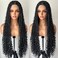 Full Lace Original Braids Wigs, Non-Grafted Knotless Box Braided Wig with Boho Curls Handmade Braids Detachable, Reused, Real like Born Braids Black Wig for Black Women Bohemian Braids 30 Inch