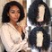 Yosoo Short Curly Wigs for Black Women, Black Hair Wigs Short Wavy Hair Wigs Fiber Wigs for Daily Party Use Women Curly Human Hair Wigs Short Human Hair Wigs Lace Front Wigs