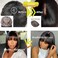 Glueless Wigs Human Hair with Bangs Straight Human Hair Wig with Bangs 150% Density 1x3inch Bleached Knots Lace Front Wigs for Black Women 18inch