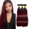 1B99j Bundles Ombre Burgundy Straight Human Hair Bundles 16 18 20 inch Two Tone Burgundy Human Hair Bundles 1B99j Straight Human Hair Bundles Double Weft Brazilian Virgin Remy Hair Extensions