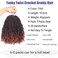 Datanala Yanky Twists Crochet Braiding Hair 10 Inch 9 Packs Crochet Hair with Curls Micro Spring Twists Crochet Hair Pre-looped Curly Crochet Braids Hair Extensions for Women (T350#/new, 10inch)