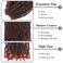 Datanala Yanky Twists Crochet Braiding Hair 10 Inch 9 Packs Crochet Hair with Curls Micro Spring Twists Crochet Hair Pre-looped Curly Crochet Braids Hair Extensions for Women (T350#/new, 10inch)