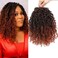 Datanala Yanky Twists Crochet Braiding Hair 10 Inch 9 Packs Crochet Hair with Curls Micro Spring Twists Crochet Hair Pre-looped Curly Crochet Braids Hair Extensions for Women (T350#/new, 10inch)