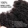 16 Inch 30Gram Afro Kinkys Bulk Human Hair for Dreadlock Extensions, Repair Locs, Create dreadlocks,Micro Twist Braids, Soft Kinky Curly Bulk for Locs Extensions(Natural Black)