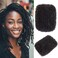 16 Inch 30Gram Afro Kinkys Bulk Human Hair for Dreadlock Extensions, Repair Locs, Create dreadlocks,Micro Twist Braids, Soft Kinky Curly Bulk for Locs Extensions(Natural Black)