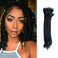 EV&amp;ET Loc Extension Human Hair 100% Huamn Hair Dreadlocks Extension Can Be Dyed Bleached Curled Handmade loc Extension for Men Women (0.6cm, 12 inch, Natural black)