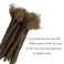 YONNA Human Hair Dreadlocks Extensions Handmade Locs Extensions Human Hair Medium Size 0.8cm Width(0.32inch)-Sold 60locs in a Bundle Honey Blonde #27 8inch