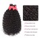 10A Water Wave Bundles with Closure (26 28 30+20) Wet and Wavy Brazilian Virgin Human Hair 3 Bundles with 4x4 Lace Closure with Baby Hair Free Part 1B# Curly Wave Human Hair Extensions