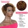 Rebecca Fashion Ombre Brown Blonde Curly Pixie Cut Lace Front Wigs Human Hair Water Wave Short Pixie Cut Wig Side Part 13x5.5x0.5 HD Lace Pixie Cut Lace Front Wigs Human Hair