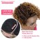 Rebecca Fashion Ombre Brown Blonde Curly Pixie Cut Lace Front Wigs Human Hair Water Wave Short Pixie Cut Wig Side Part 13x5.5x0.5 HD Lace Pixie Cut Lace Front Wigs Human Hair