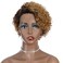Rebecca Fashion Ombre Brown Blonde Curly Pixie Cut Lace Front Wigs Human Hair Water Wave Short Pixie Cut Wig Side Part 13x5.5x0.5 HD Lace Pixie Cut Lace Front Wigs Human Hair