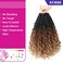 Ayana Goddess Box Braids Crochet Hair 14 Inch 8 Pack Bohomian Crochet Braids Box Braids Crochet Box Braids Curly Ends Synthetic Crochet Braids Hair Extensions For Women(14Inch 1B/30/27)