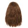 Mens Long Brown Curly Wig 70s 80s Side Part Synthetic Wigs Fluffy Daily Cosplay Custome Hair Wig