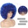 70s Afro Kinky Curly Wig For Women - Soft, Bouncy, Natural Looking Synthetic Hair - Blue Color, With Bangs