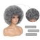 Afro Wig - Soft 70s Afro Wig For Women Grey Afro Kinky Curly Hair Wigs With Bangs Natural Looking Gary Big Afro Curly Wig For Men Bouncy Afro Puff Wig Afro Wig For Daily Party Cosplay Use