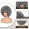 Afro Wig - Soft 70s Afro Wig For Women Grey Afro Kinky Curly Hair Wigs With Bangs Natural Looking Gary Big Afro Curly Wig For Men Bouncy Afro Puff Wig Afro Wig For Daily Party Cosplay Use