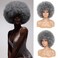 Afro Wig - Soft 70s Afro Wig For Women Grey Afro Kinky Curly Hair Wigs With Bangs Natural Looking Gary Big Afro Curly Wig For Men Bouncy Afro Puff Wig Afro Wig For Daily Party Cosplay Use
