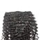 100 Remy Curly Hair Extensions Clip In #1B Black 20 Inch 120g 8pcs/lot 20 Clips Hair Extensions