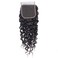 Brazilian Virgin Curly Lace Closure 4x4 Three Part Unprocessed Virgin Human Hair Curly Lace Closure Natural Black 14 inch