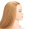 Hairginkgo Mannequin Head 20"-22" 100% Human Hair Manikin Head for Hairdresser Training, Cosmetology Practice - Includes Clamp Stand