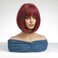 MAGQOO Burgundy Dark Wine Red Wig with Bangs 12 Inches Burgundy Bob Wig Short Straight Dark Red Hair Wigs Burgundy Wig for Women Synthetic Heat Resistant