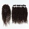 D&Eacute;BUT Synthetic Hair 8 Bundles with Simple Closure Water Wave High Temperature Fiber Wavy Hair Weave 9PCS 20 Inches 240G Brown