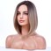 BERON 15'' Short Straight Dark Roots Ombre Blonde Bob Wigs Side Part Wig with No Bangs Wig Cap Included (Brown Ombre Blonde)