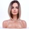 BERON 15'' Short Straight Dark Roots Ombre Blonde Bob Wigs Side Part Wig with No Bangs Wig Cap Included (Brown Ombre Blonde)