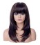 Rugelyss Dark Brown Long Wavy Wig with Bang,Chocolate Layered Synthetic Hair Wigs for Women with Side Parting