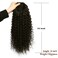 Curly Ponytail Extension Drawstring Ponytails for Black Women Blonde Ombre Curly Ponytail With 2 Clips on Pony Tails for Women (T1b/27)