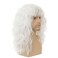 Mens White Long Curly Wig with Bangs Synthetic 70s 80s Rocker Punk Wigs Natural Looking Halloween Cosplay Hair Wig