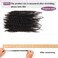 Afro Kinky Bulk Curly Human Hair 8 Inch 50g for Permanent Micro Locs Mini Kinky Twist Braids Loc Extensions Dreadlock Extensions Repair Locs Can Be Bleached Dyed (8inch, Natural Black)