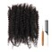 Afro Kinky Bulk Curly Human Hair 8 Inch 50g for Permanent Micro Locs Mini Kinky Twist Braids Loc Extensions Dreadlock Extensions Repair Locs Can Be Bleached Dyed (8inch, Natural Black)