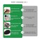 Afro Kinkys Bulk Human Hair for Dreadlock Extensions,10Inch 1Pack 30Gram Braiding Hair,Loc Repair,100% Human Hair Afro Kinkys Bulk Hair For Locs- 10Inch,1 Oz(10inch, grey)