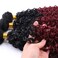 Afro Kinky Curly Synthetic Hair Weave 3 Bundles 18 20 22 Inches Ombre Burgundy Jerry Curly Bundles High Temperature Fiber Hair Extensions for Black Women