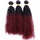Afro Kinky Curly Synthetic Hair Weave 3 Bundles 18 20 22 Inches Ombre Burgundy Jerry Curly Bundles High Temperature Fiber Hair Extensions for Black Women