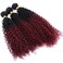 Afro Kinky Curly Synthetic Hair Weave 3 Bundles 18 20 22 Inches Ombre Burgundy Jerry Curly Bundles High Temperature Fiber Hair Extensions for Black Women