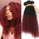 Afro Kinky Curly Synthetic Hair Weave 3 Bundles 18 20 22 Inches Ombre Burgundy Jerry Curly Bundles High Temperature Fiber Hair Extensions for Black Women
